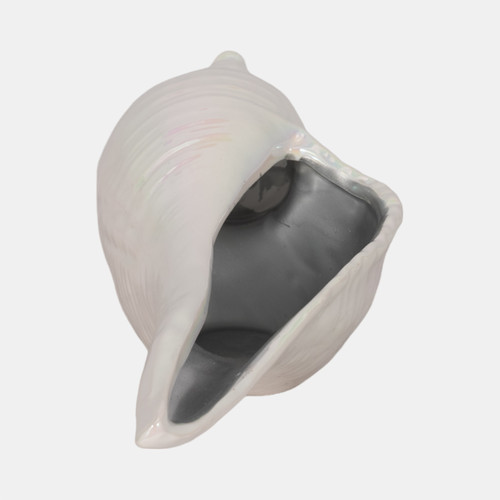 Sagebrook Home 12" Long Iridescent Seashell With Silver Ivory/si Wishlist Create New