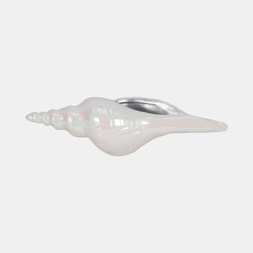 Sagebrook Home 12" Long Iridescent Seashell With Silver Ivory/si Wishlist Create New