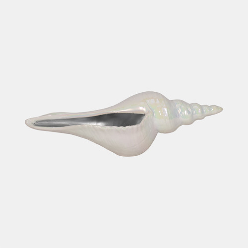 sagebrook home 12" Long Iridescent Seashell With Silver Ivory/si Wishlist Create New