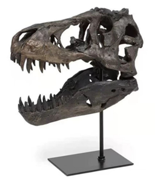 sagebrook home 12x10" Dinosaur Skull On Stand Black Wishlist Create New