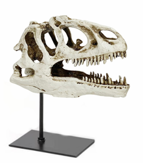 sagebrook home 12x10" Dinosaur Skull On Stand White Wishlist Create New