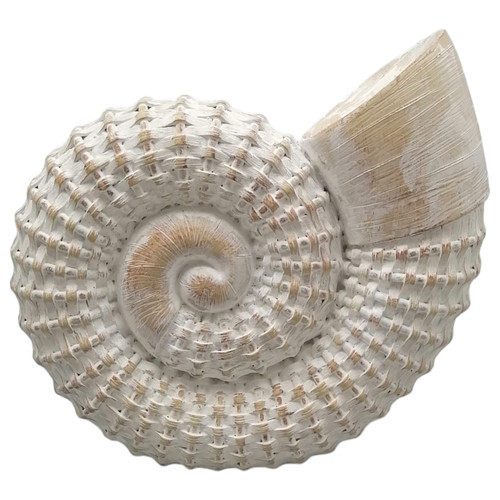 Sagebrook Home 12x11" Woven Shell Decor White Wishlist Create New