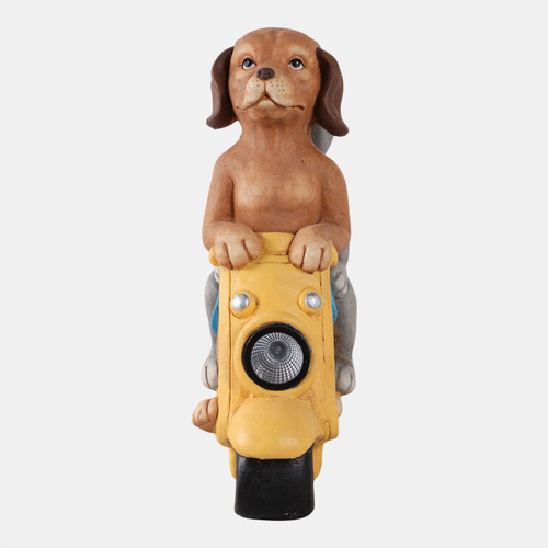 Sagebrook Home 17x14" Dog & Cat On Solar Scooter Multi Wishlist Create New