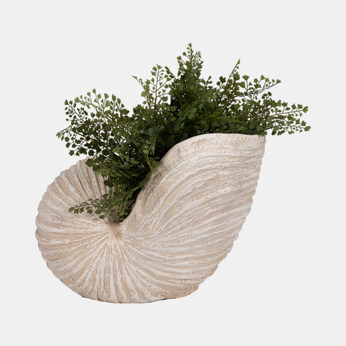 Sagebrook Home 18" Shell Sculpture Ivory Wishlist Create New