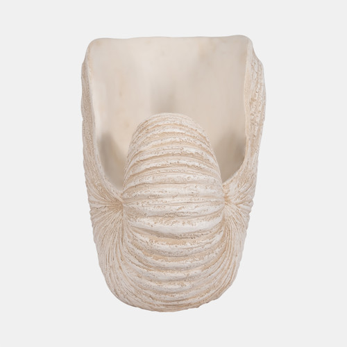 Sagebrook Home 18" Shell Sculpture Ivory Wishlist Create New