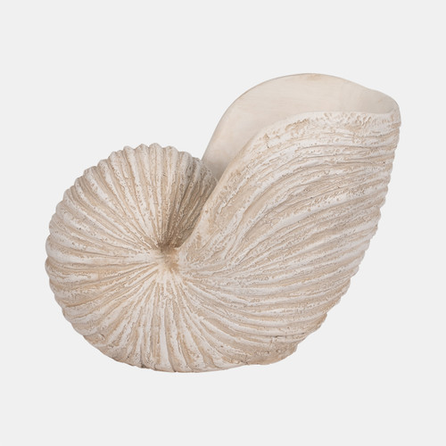 sagebrook home 18" Shell Sculpture Ivory Wishlist Create New