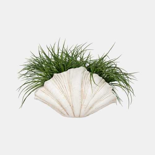 Sagebrook Home 22" Scallop Shell Decor White Wishlist Create New