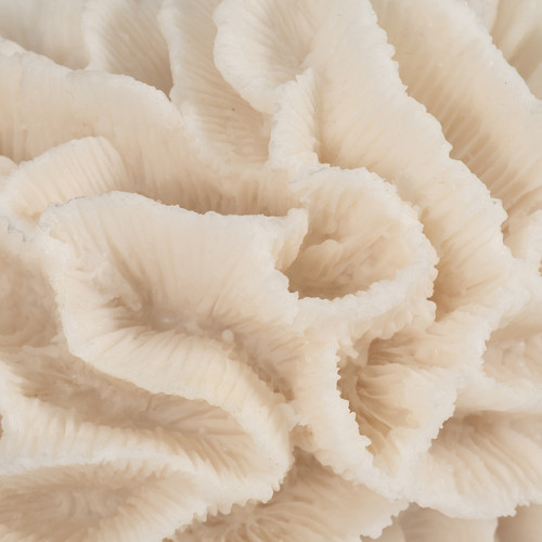 Sagebrook Home 6" Petal Coral Ivory Wishlist Create New