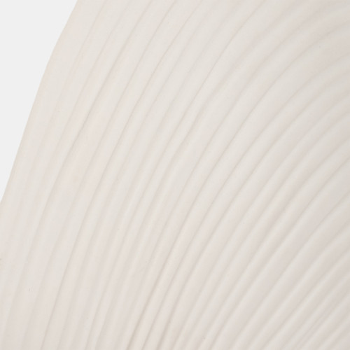Sagebrook Home 6" Seashell Decor White Wishlist Create New