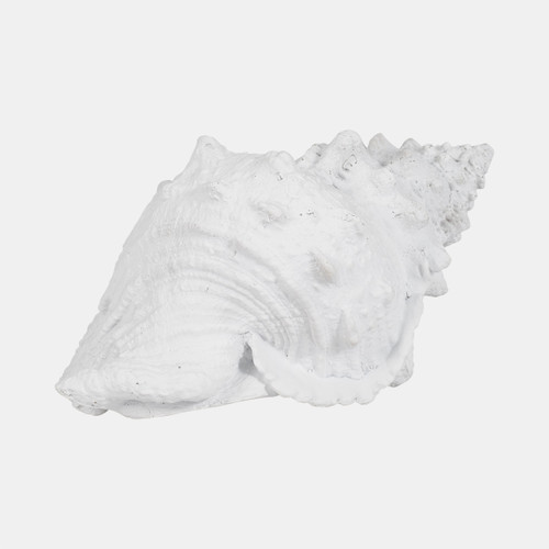 Sagebrook Home 9" Conch Shell White Wishlist Create New