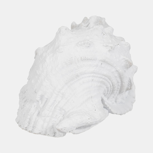 Sagebrook Home 9" Conch Shell White Wishlist Create New