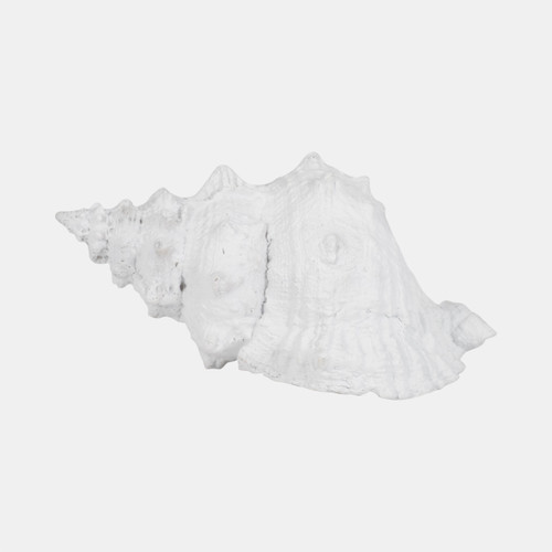 Sagebrook Home 9" Conch Shell White Wishlist Create New