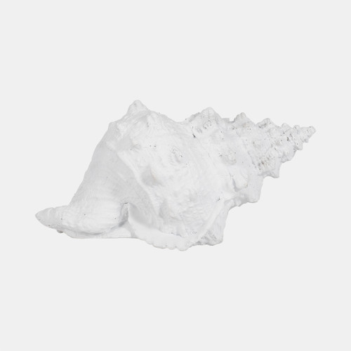 sagebrook home 9" Conch Shell White Wishlist Create New