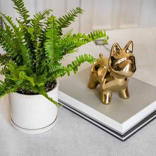 Sagebrook Home Cer 8" Dog Table Deco Gold Wishlist Create New