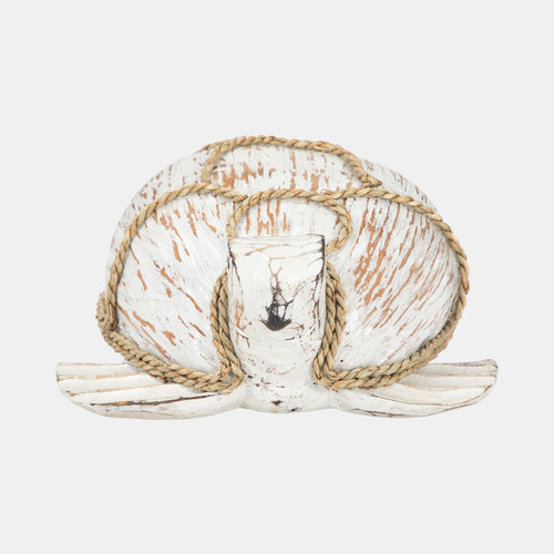 Sagebrook Home Coconut 12"l Turtle White/brown Wishlist Create New