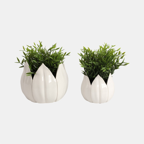 Sagebrook Home S/2 5/8" Petal Planters White Wishlist Create New