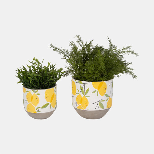 Sagebrook Home S/2 6/7" Growing Lemons Planter Multi Wishlist Create New