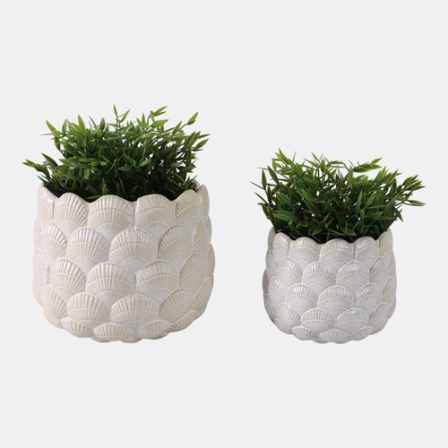 Sagebrook Home S/2 7/9" Seashell Planters White Wishlist Create New