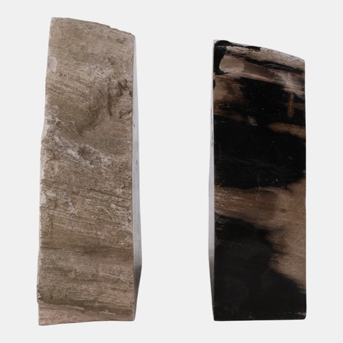 Sagebrook Home S/2 7" Petrified Wood Bookends Black/tan Wishlist Create New