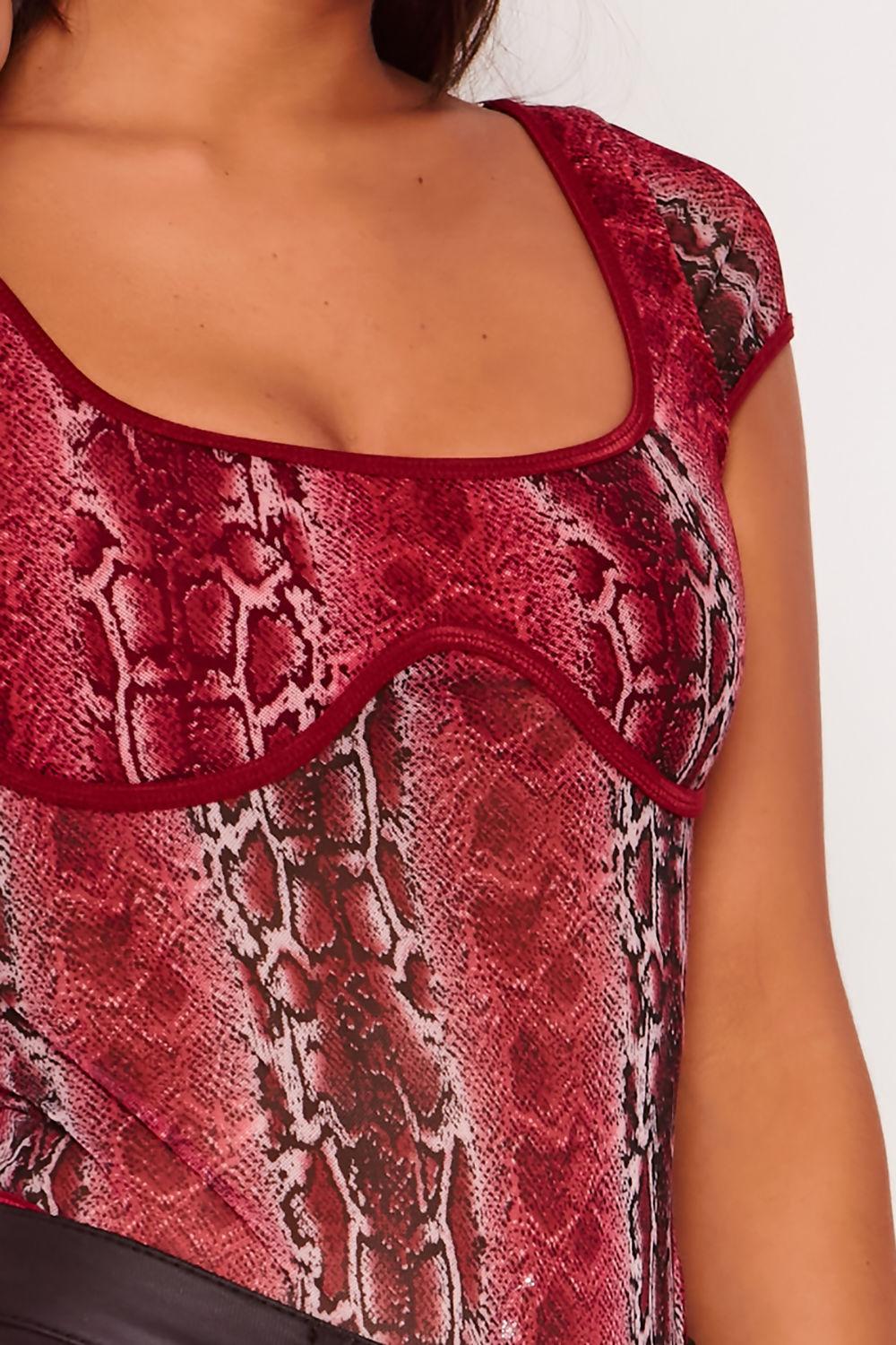 Saint Genies Amy Snake Print Thong Bodysuit In Wine