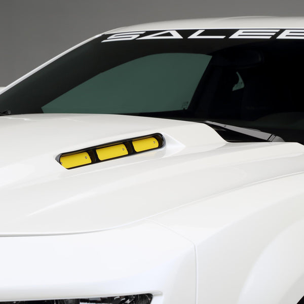 Saleen Hood Dual Side With Butterfly Assy S620 Camaro