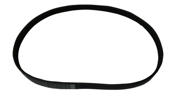 saleen Accessory Belt 846mm Sport Truck 2018-2021