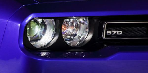 saleen Badge 570 Front or Rear 08-14 570