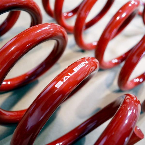 saleen S4 Springs Set 11-14 GT S302