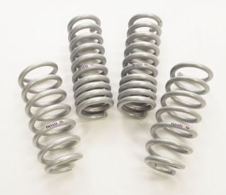 saleen Springs Kit 08-14 R/T SRT 570