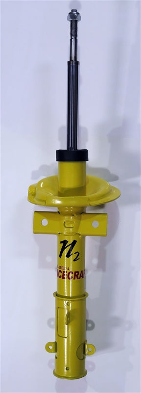 Saleen Strut Front Racecraft N2 05-09 GT