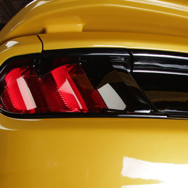 saleen Taillight Panel Insert with Covers 15-17 MY