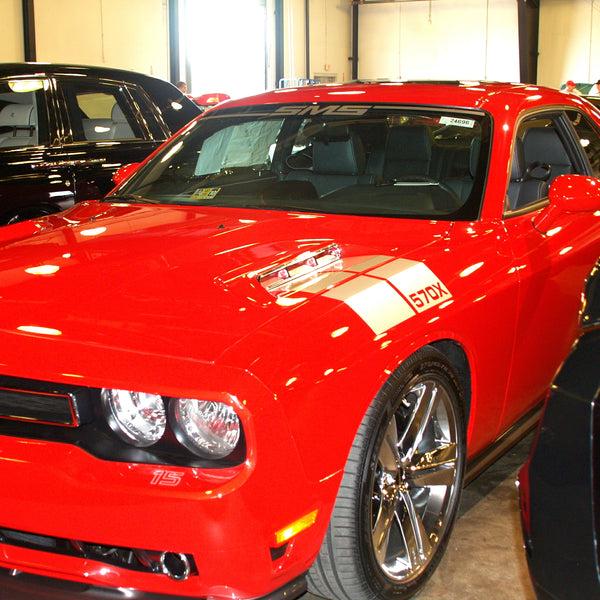 saleen Windshield Banner SMS 08-10 S570