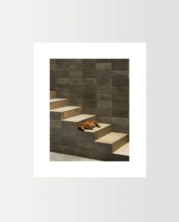 salle privée ARTWORK | SLEEPY DOG