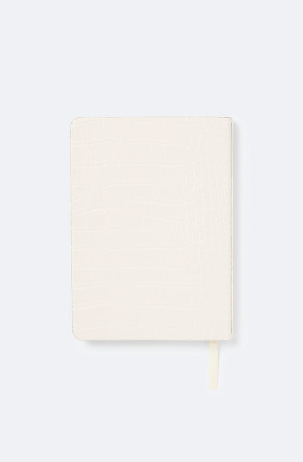 Sally Lapointe Notebook