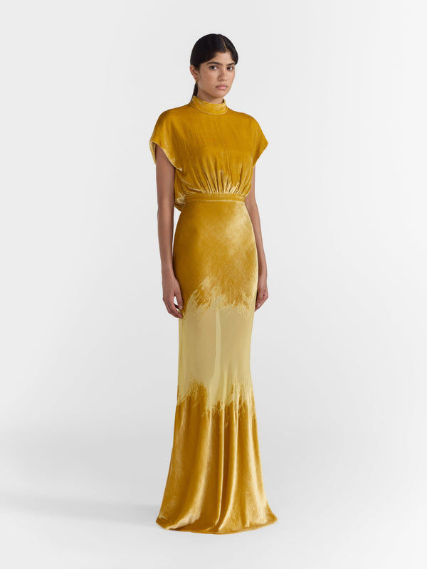 Saloni Fabienne Long Dress In Light Gold