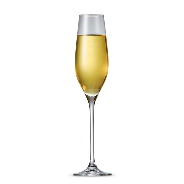 Salt & Pepper Cuvee Champagne Flutes 210mL - Set Of 6