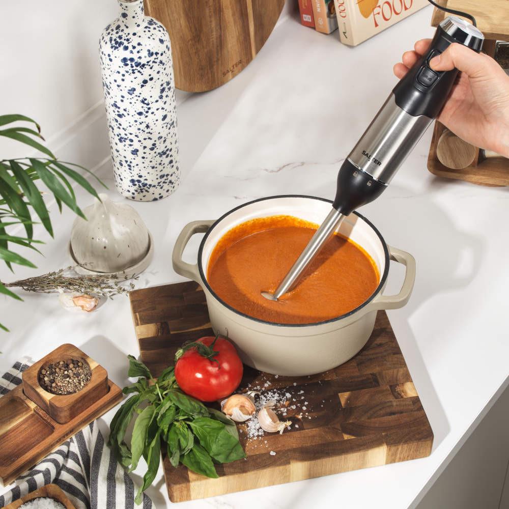 Salter 600W 3-In-1 Blender – Silver