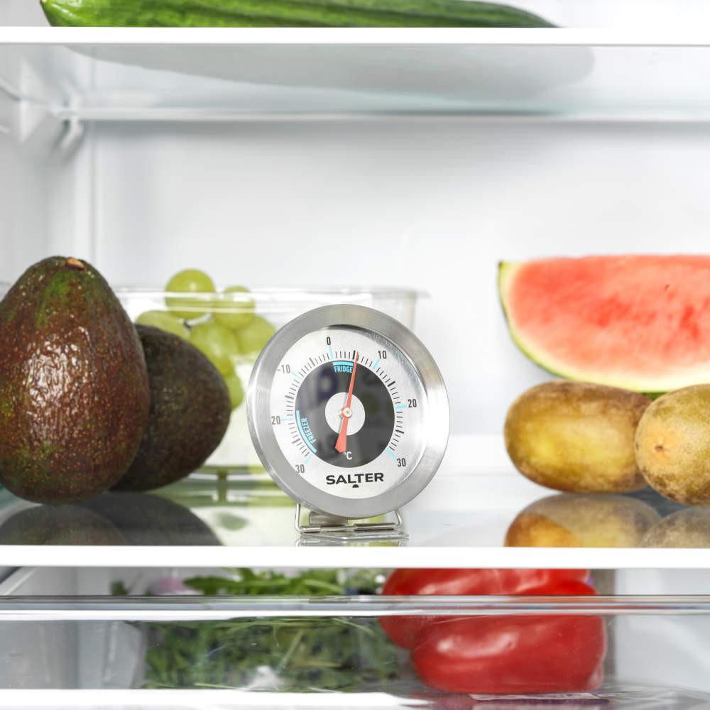 Salter Analogue Fridge/Freezer Thermometer
