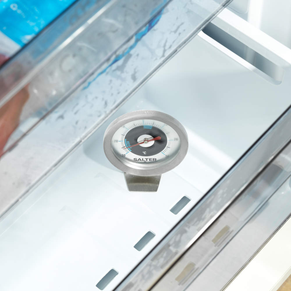 Salter Analogue Fridge/Freezer Thermometer