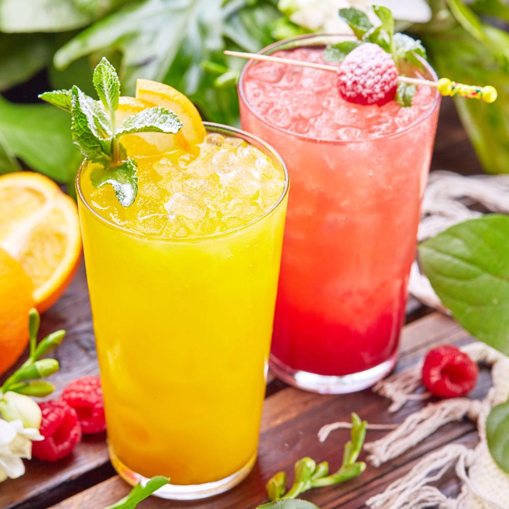 Salter Cocktail Blender Set