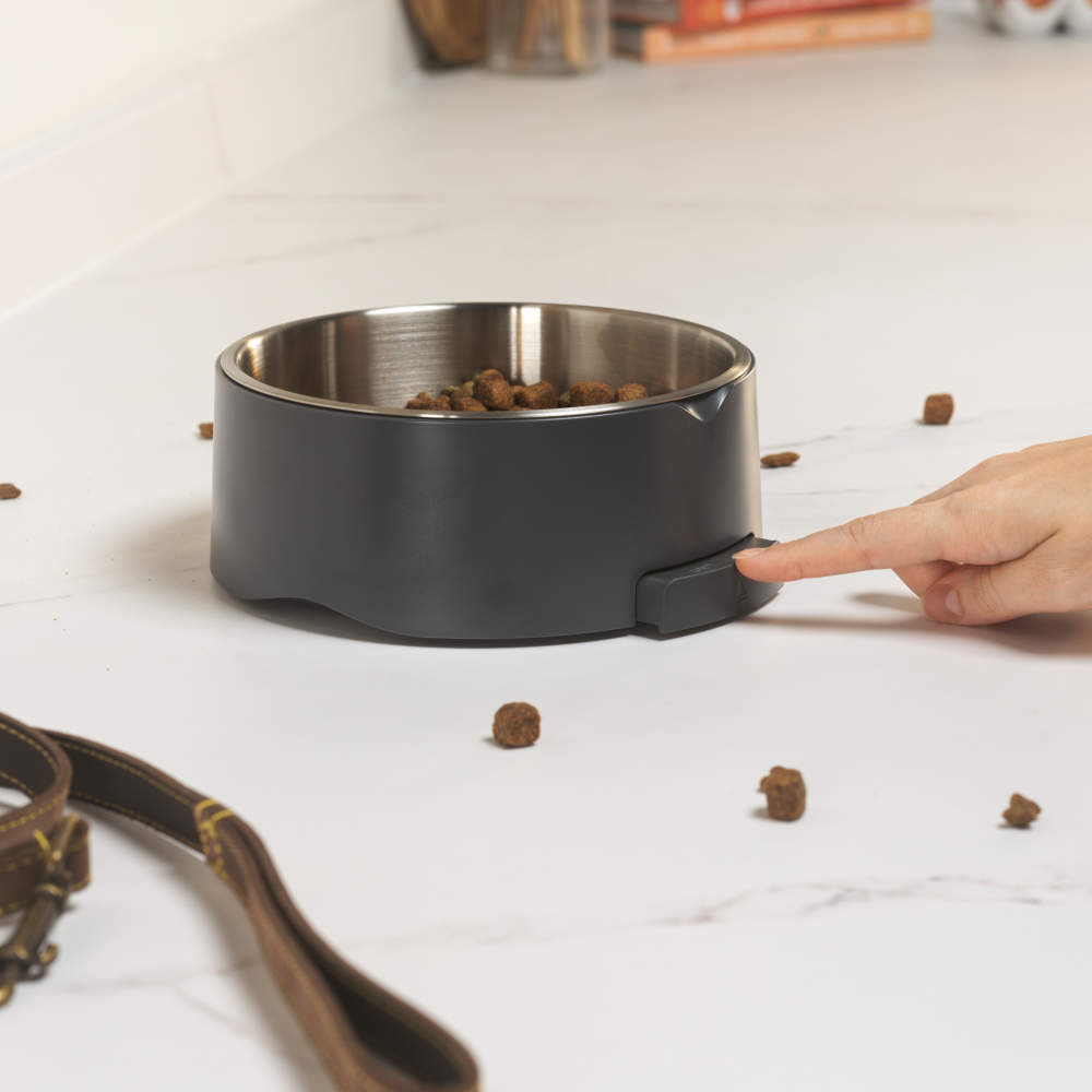 Salter Digital Pet Food Scale – Smart Dog Bowl Grey