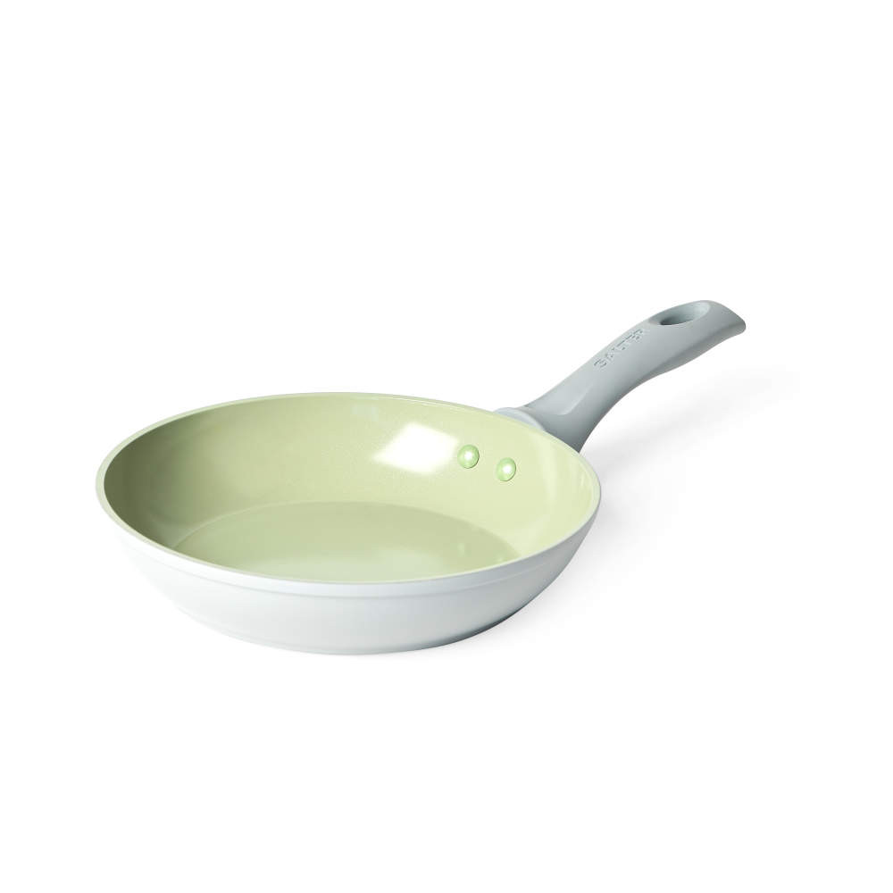 salter Earth 20cm Fry Pan