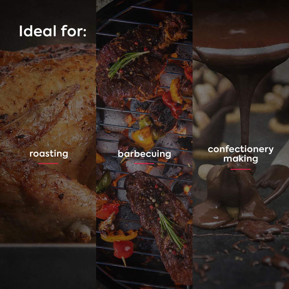 Salter Heston Blumenthal Digital Meat Thermometer