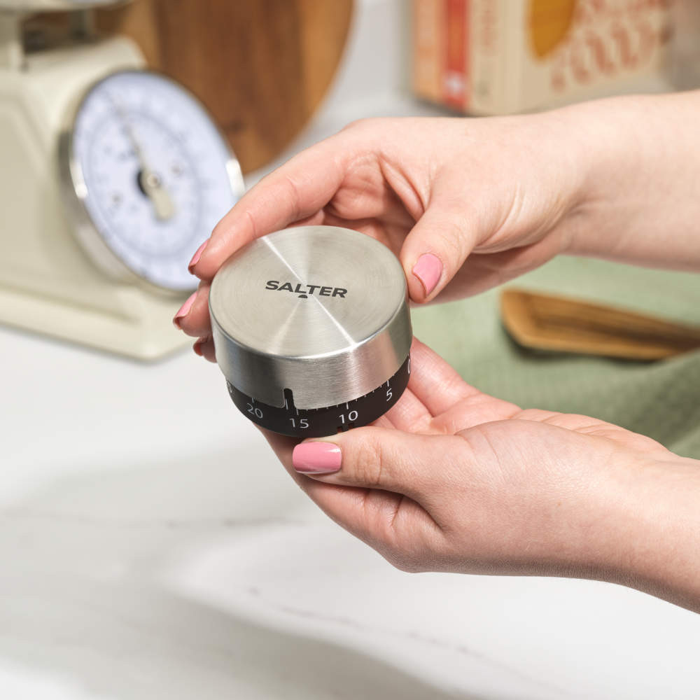 Salter Mechanical Timer