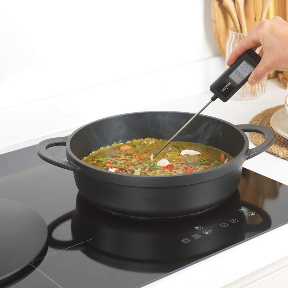 Salter Precision Meat Thermometer