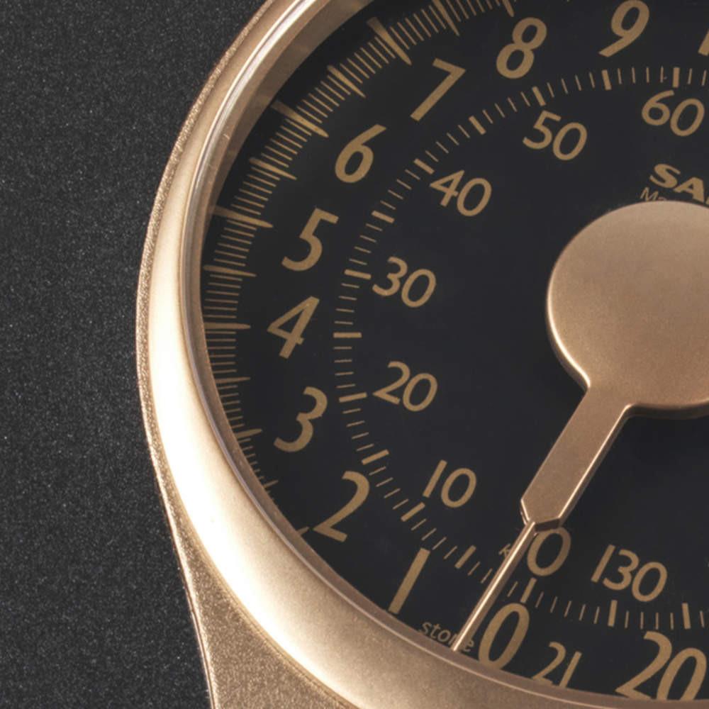 Salter Speedo Mechanical Bathroom Scale - Gold