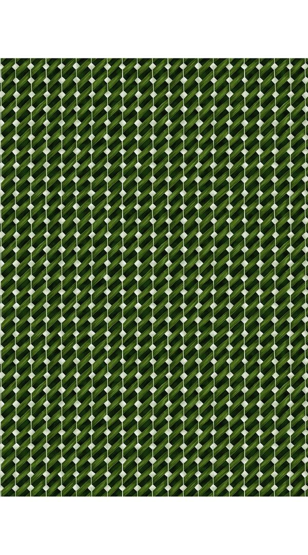 Samantha Sung Abel Dress Shirt Collar 3/4 Sleeve Long Length Cotton Stretch (Diagonal Stick)