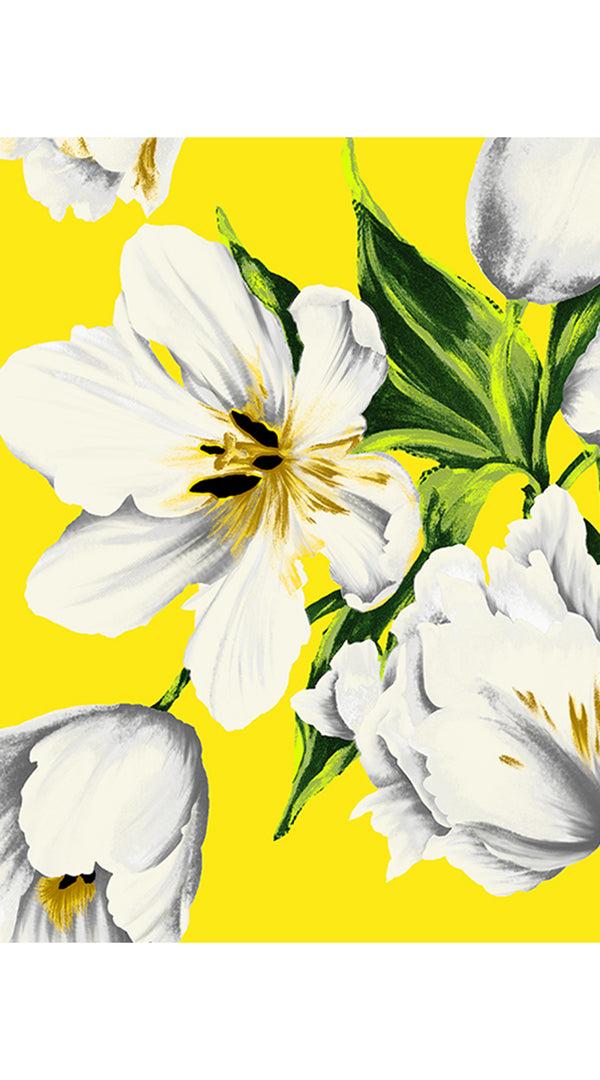 Samantha Sung Abelia Dress Shirt Collar 1/2 Sleeve Midi Length Cotton Stretch (Emperor Tulip Bright)