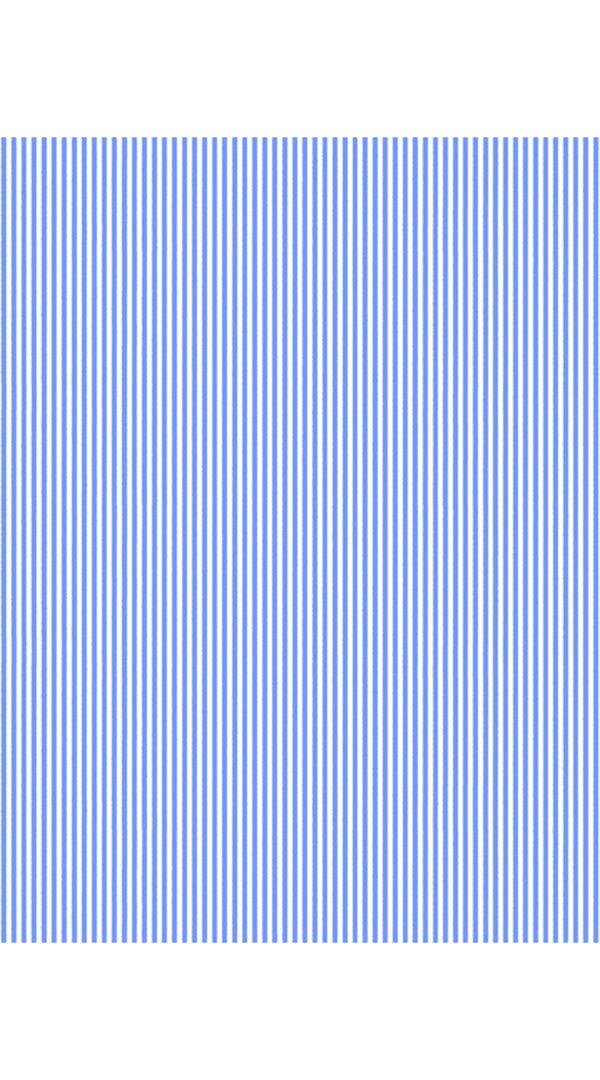 samantha sung Aster Dress #2 Shirt Collar 3/4 Sleeve Midi Length Musola (Hairline Stripe Small)