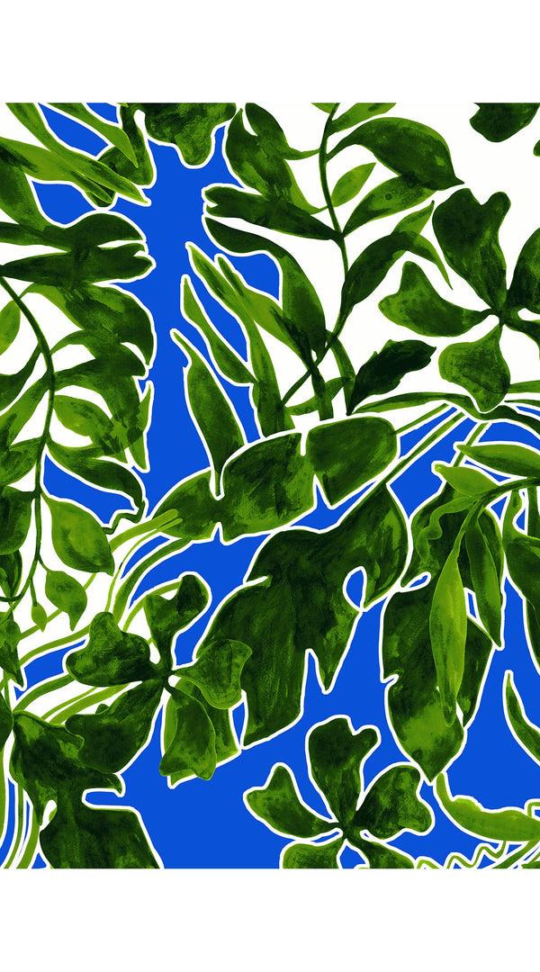 Samantha Sung Aster Dress Shirt Collar 3/4 Sleeve Midi Length Cotton Musola (Como Lake Garden White)